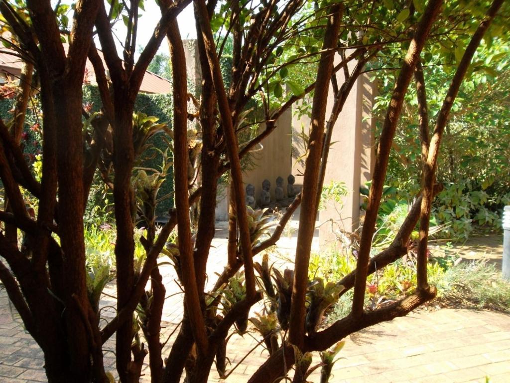 Ku De Ta B&B White River Dış mekan fotoğraf