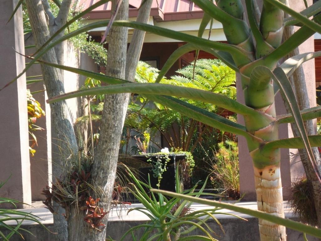 Ku De Ta B&B White River Dış mekan fotoğraf