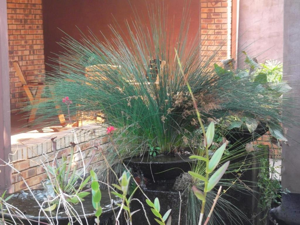 Ku De Ta B&B White River Dış mekan fotoğraf